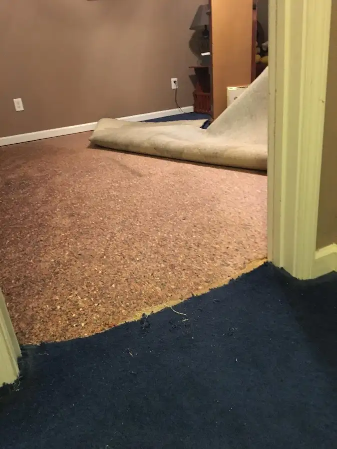 Carpet pad removal revealing water damage during Drying & Dehumidification in Homestead Meadows South